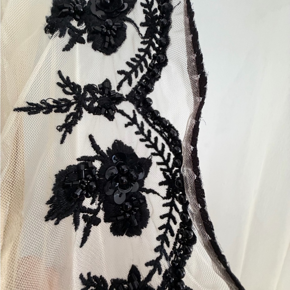 Vineet Bahl Sheer Cream Maxi Dress with Black Lace Embroidery and Embellishment - Picture 5 of 6